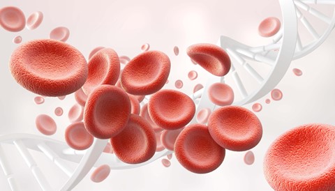 Things Everyone Should Know About Anemia